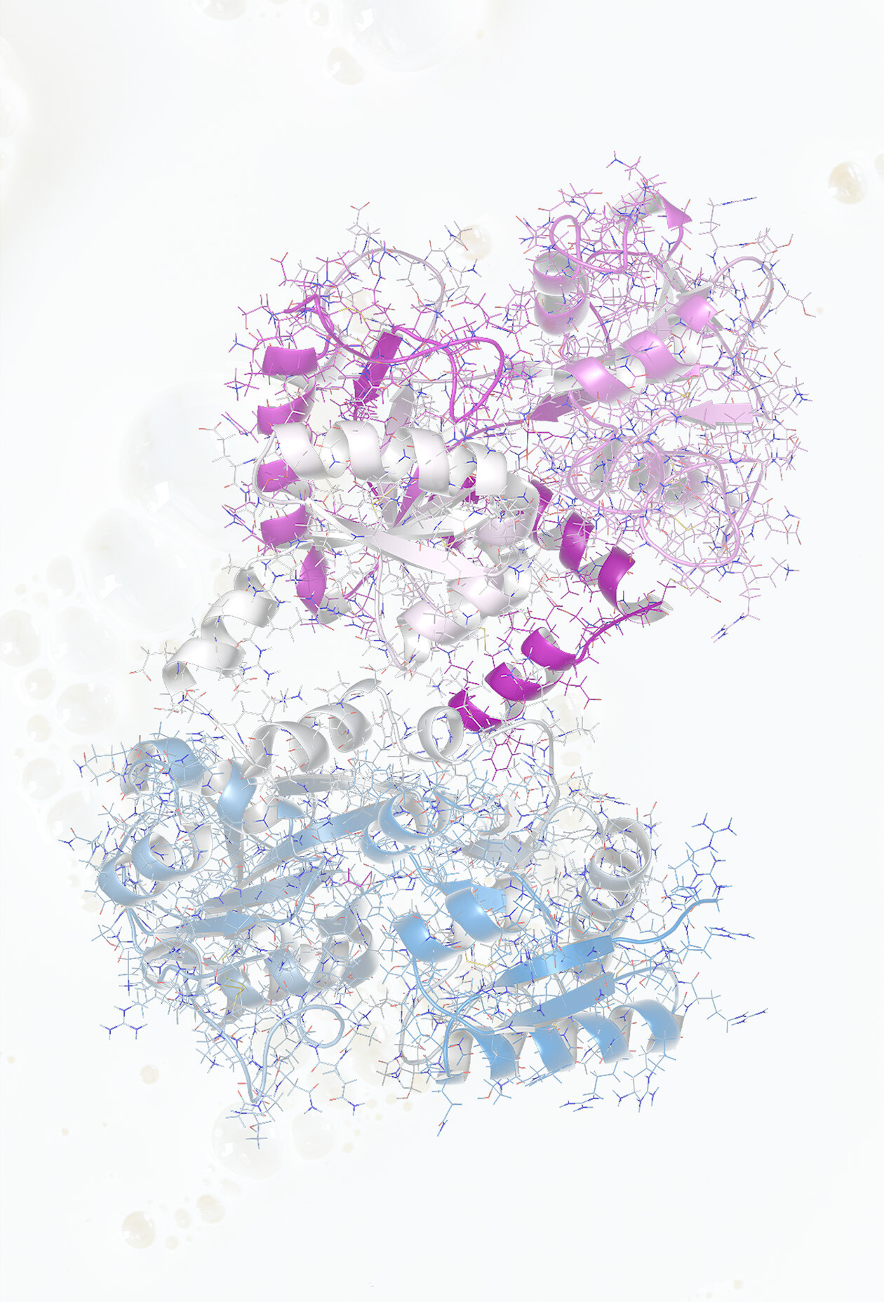 So funktioniert Lactoferrin – Wirkung und Mechanismus in deinem Körper Grafik zur Funktionsweise von Lactoferrin im Körper