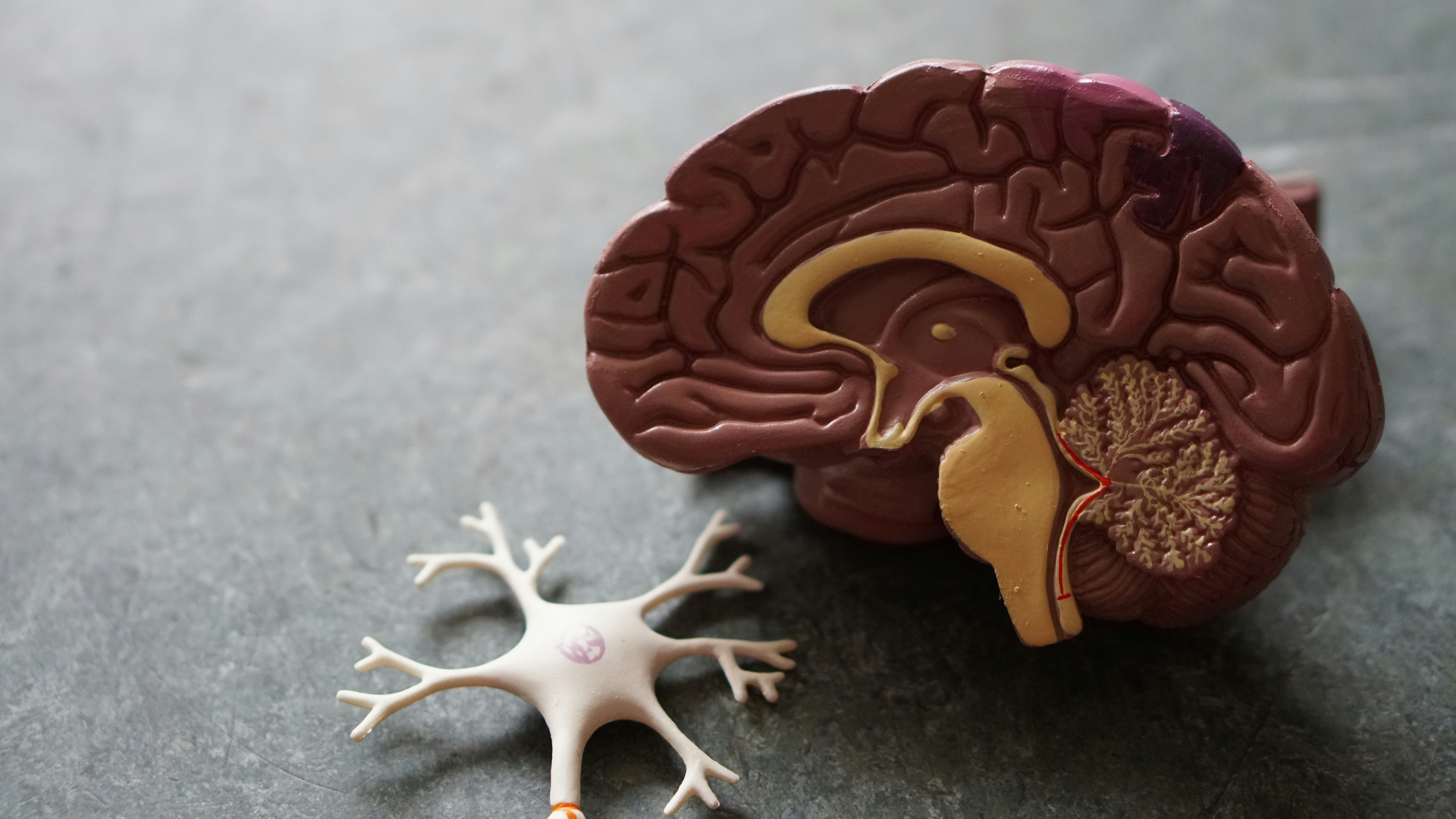 Demenz & Alzheimer – eine Herausforderung für Angehörige