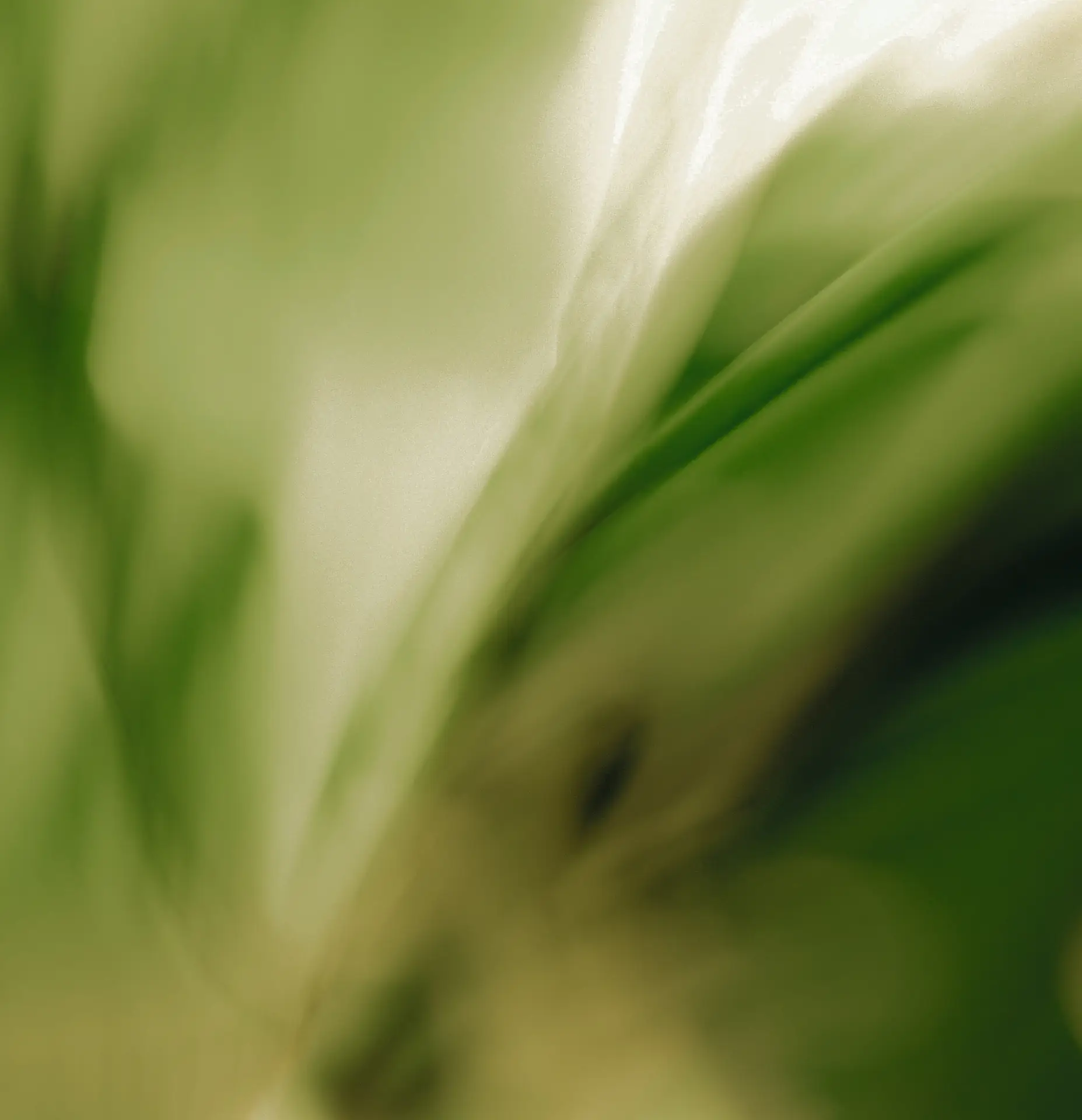 Melatonin Spray 1 mg Bild zu Effiziente Absorption 