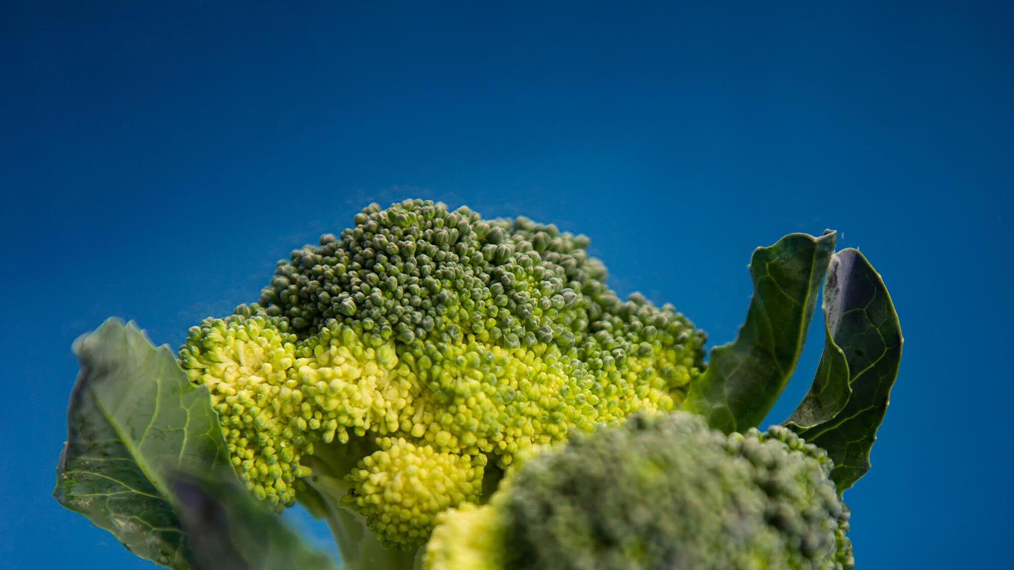 Gesunde Ernährung: Darauf kommt es wirklich an