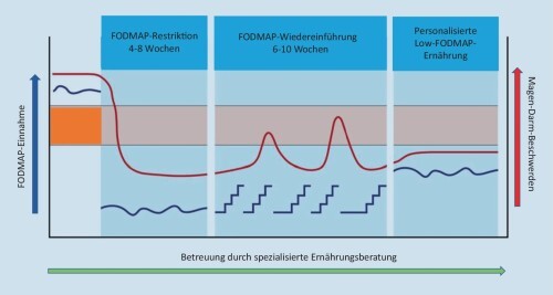 Drei Phasen der Low-FODMAP-Diät mit Verlauf von FODMAP-Aufnahme und Magen-Darm-Beschwerden: Restriktion, Wiedereinführung und personalisierte Ernährung.