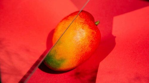 Premium Nahrungsergänzungsmittel & Superfood