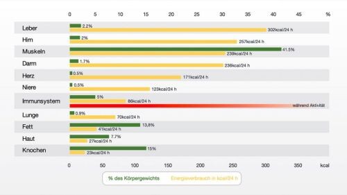 Premium Nahrungsergänzungsmittel & Superfood