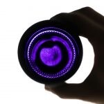 Violettglas im Gegenlicht