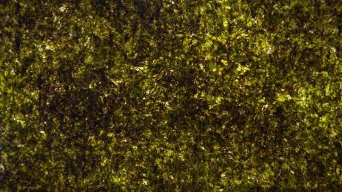 grünes Bild Omega3