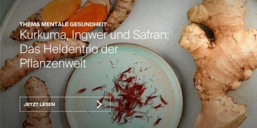 Magazin-Artikel: Kurkuma, Ingwer und Safran – das Heldentrio der Pflanzenwelt
