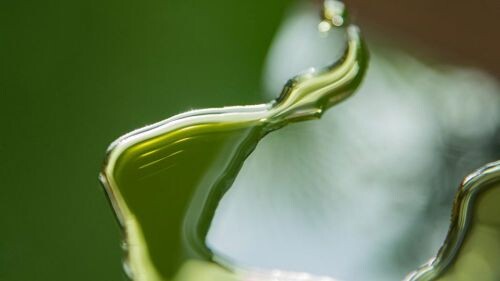 Premium Nahrungsergänzungsmittel & Superfood
