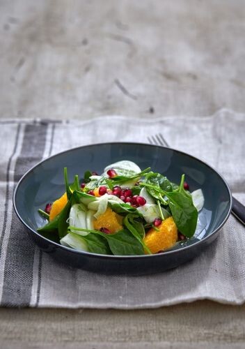 Premium Nahrungsergänzungsmittel & Superfood