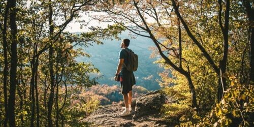 artgerecht Magazin: Mentale Gesundheit – Waldbaden nährt die Seele
