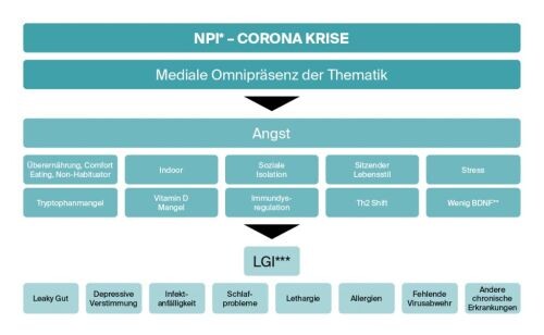 Premium Nahrungsergänzungsmittel & Superfood